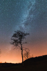 Obraz na płótnie Canvas Milky Way Tree