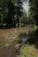 spreewald.6