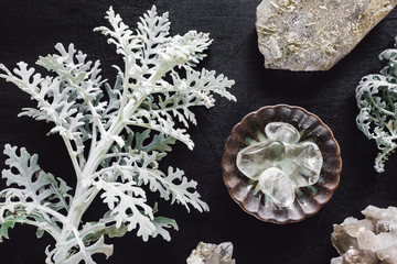 Clear Quartz and Rough Quartz with Dusty Miller