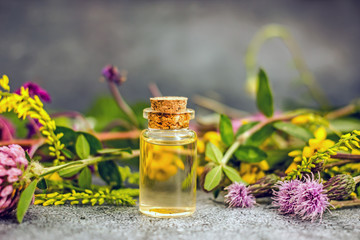 Natural oil in a transparent bottle with a cork stopper. Essential oil from flowers. Skin Care Oil. Bottle with yellow oil in the background of fresh herbs and flowers. Spa concept, organic 