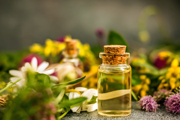 Natural oil in a transparent bottle with a cork stopper. Essential oil from flowers. Skin Care Oil. Bottle with yellow oil in the background of fresh herbs and flowers. Spa concept, organic 