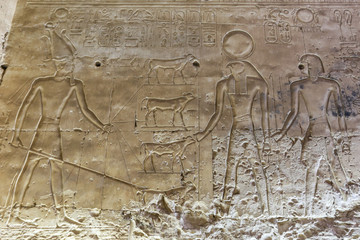 Scene from Abydos Temple in Madfuna, Egypt