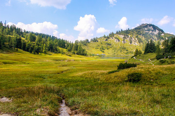 Amazing Austrian nature, traveling in nature