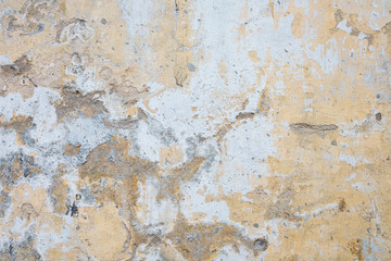 brick wall texture