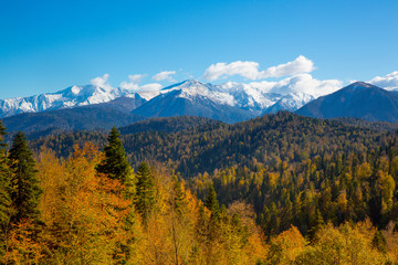 autumn in the mountains