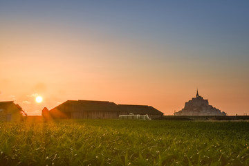 Silhouette at sunset from the farmland of Mont Saint Michel, France