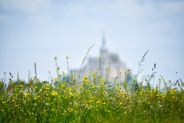 Flowers in the foreground with defocused silhouette of Mont Saint Michel, France. Copy space for text.
