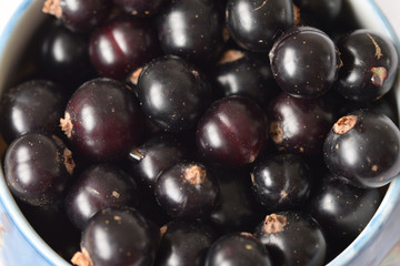 Macro image of black currants