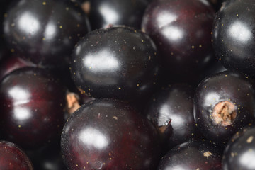 Macro image of black currants