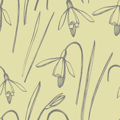 Snowdrop spring flowers. Botanical plant illustration. Vintage medicinal herbs sketch set of ink hand drawn medical herbs and plants sketch. Seamless patterns.