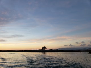Lone Tree Channel Islands