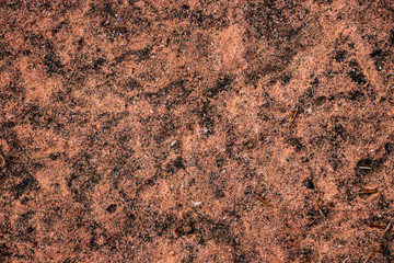 Rust coloured ground texture shot