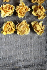 Dried flowers of yellow roses. Stacked on rough linen fabric.