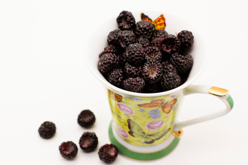 black raspberries in a mug on a white background