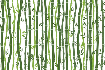 Seamless pattern with bamboo stalks. Silhouette of green bamboo on a white background. Bamboo sticks and leaves. Vector illustration for design work.