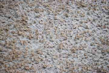 White Stone grit pebble wall texture