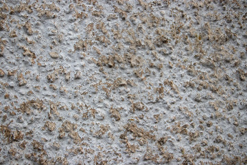 White Stone grit pebble wall texture