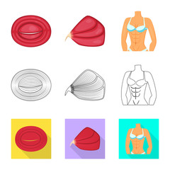 Isolated object of fiber and muscular logo. Collection of fiber and body vector icon for stock.