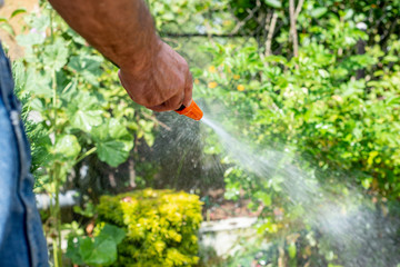 Watering plants in the garden, irrigating the soil. Garden work. The man is watering plants in the garden. A view of a man holding a coat. Saving water, care of plants.