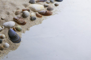 Seashells and pebbles on sand with space for text
