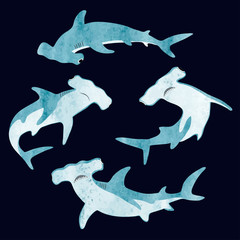 Watercolor hammerhead shark set. Vector illustration. - obrazy, fototapety, plakaty