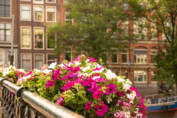 Fototapeta na wymiar Flowers on a bridge over a canal in Amsterdam