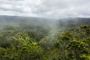 Cloud covered mountains along  Pihea trail on Kauai Island of Hawaii.