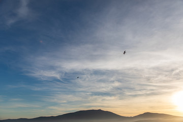 Fototapeta na wymiar Sunset sky view with a seagull fliying in Cap de Creus Catalunya