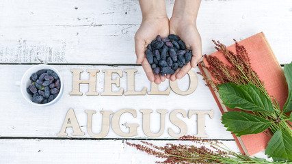 Summer banner: Word Hello August, children's hands hold blue berries, old book and green on a white wooden rustic background. Horizontal flat lay