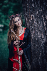 Naklejka premium fairy tale witch in the forest