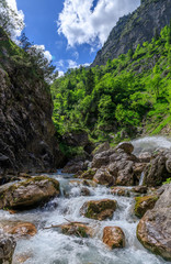 Fototapeta na wymiar a wild river in the alps