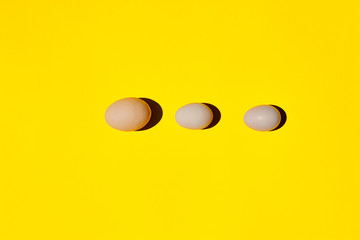 Fototapeta premium An eggs. An eggs in a row. An eggs on a yellow background. Eggs background close-up. Eggs texture wallpaper. Top view. Concept for designers copy space. An egg and only egg.