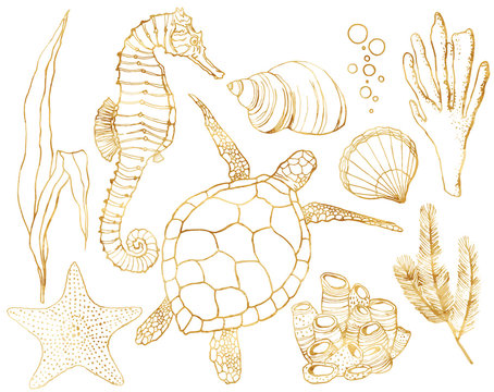 Vector set with underwater animals and coral reef plants. Hand painted golden turtle, seahorse, laminaria, coral and shell isolated on white background. Line art illustration for design, print.