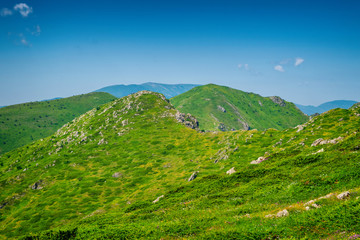 Naklejka premium Beautiful mountain view from the path from Beklemeto to Kozya Stena, Troyan Balkan, Bulgaria