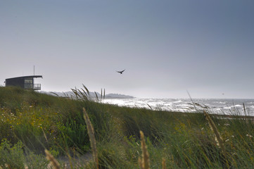 Plage de Juno Beach, Normandie (Calvados - France)