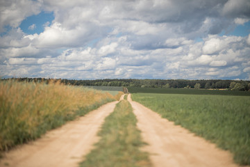 rural dirt road track in the middle of the field