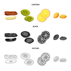 Isolated object of food and raw icon. Set of food and nature stock vector illustration.