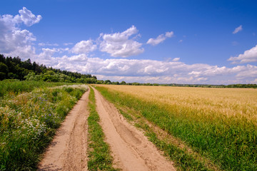 Summer landscape. A country road along the wheat field.