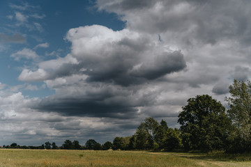 rural scene with field and trees and thunder clouds on a summer's day