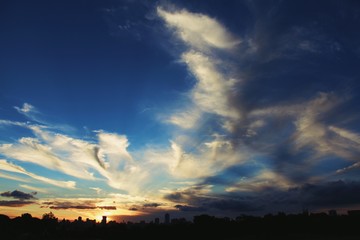 Fototapeta premium Sunset at Curitiba Botanical Garden in southeastern Brazil