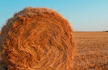 Roll of straw on the field. Image at sunset. Rural or rustic background, selective focus, close-up.