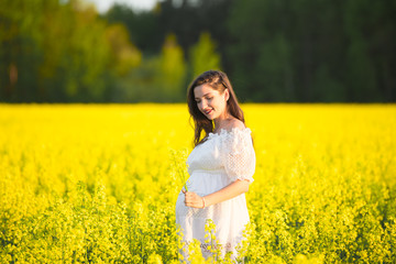 Naklejka na ściany i meble Pregnancy in his youth. Young beautiful pregnant woman, pregnancy is in its prime when it is full of desire