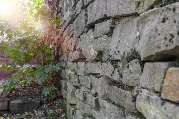 Old stone wall, natural stone, moss and lichen on the stones. A ray of the sun breaks through the foliage of trees. Selective focus, close up, copy space.