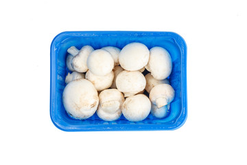 Mushrooms in a plastic blue container isolated on white, top view