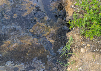 Soil pollution with fuel oil and bitumen