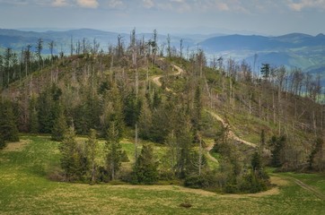 Beautiful mountain spring landscape. Picturesque path to the mountain peak.