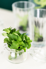 Ingredients for infused water fresh mint leaves and black currant berries in a glass