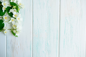 Background for congratulatory banner with jasmine flowers on wooden background. Jasmine flowers on wooden background. Flat lay, top view.
