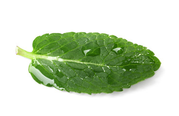 Wet leaf of fresh mint isolated on white
