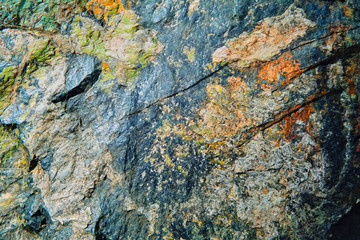 Natural Surface texture of serpentinite mined in the Ural mountains.